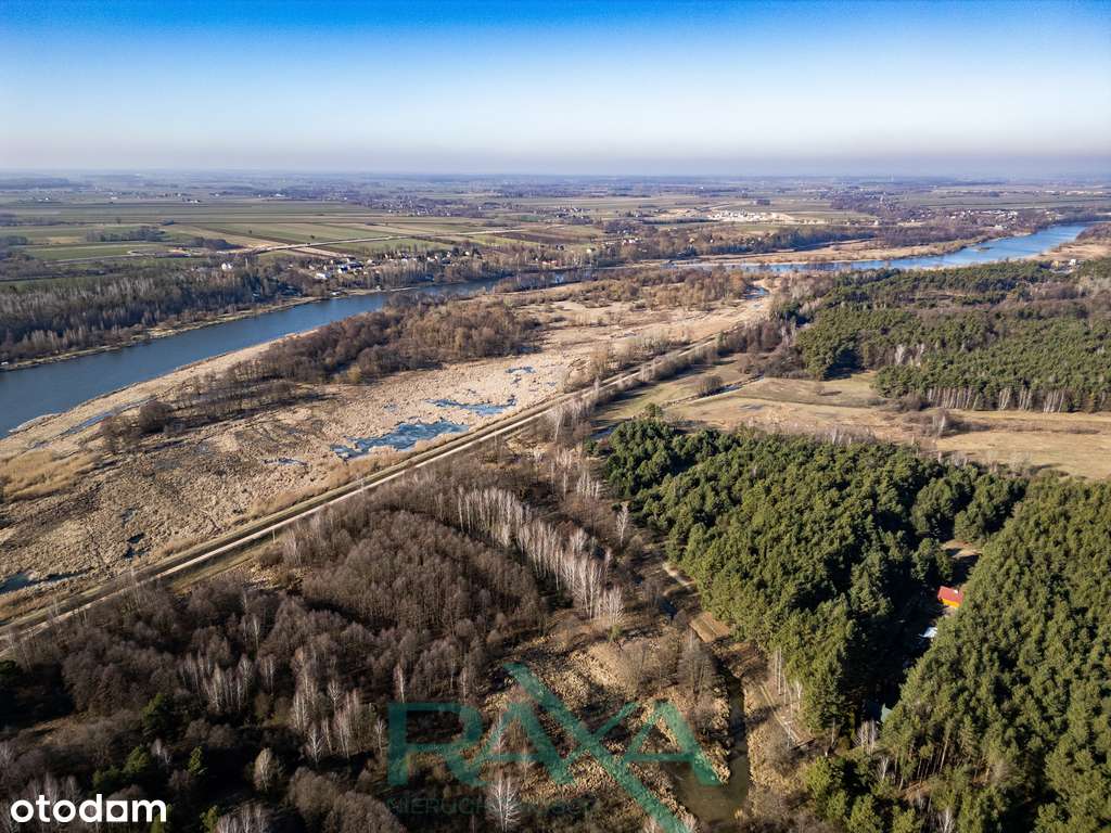 Letniskowa w środku lasu, blisko Narew | Wawa 1h - Pełny obrazek: 4/9