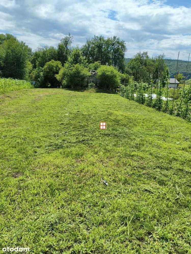 Ruszelczyce, Krzywcza działka budowlana 19 ara - Pełny obrazek: 5/20