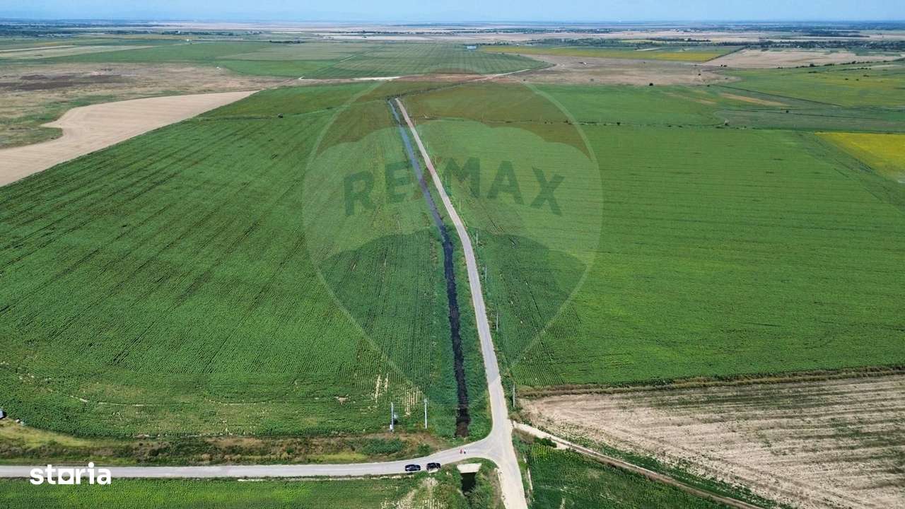 Fermă vegetală 148 ha și sediu fermă Mãicãneşti ! - Imagine principală: 3/4