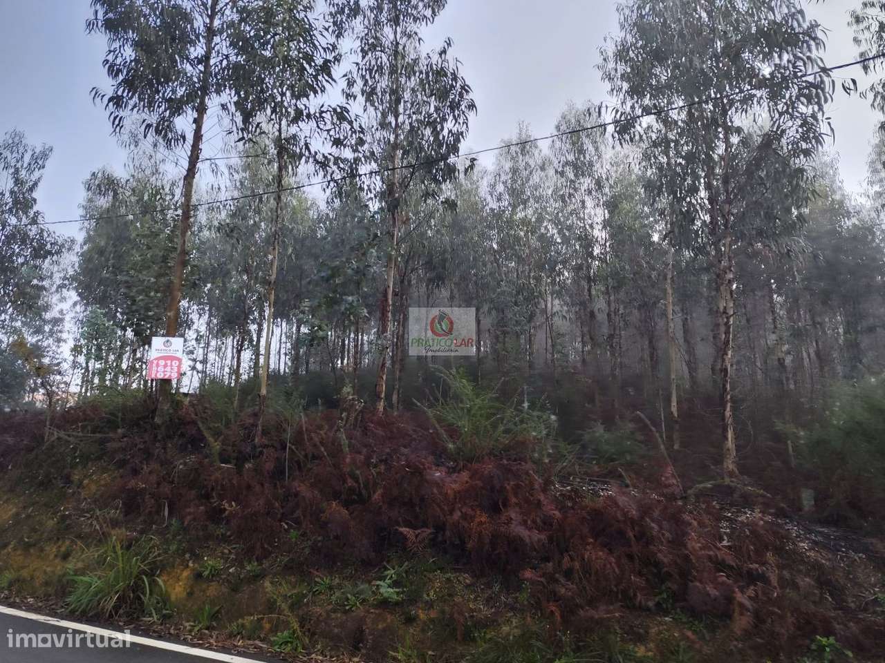 Terreno em Zevedinho, Cedrim com viabilidade de construção - Grande imagem: 4/15