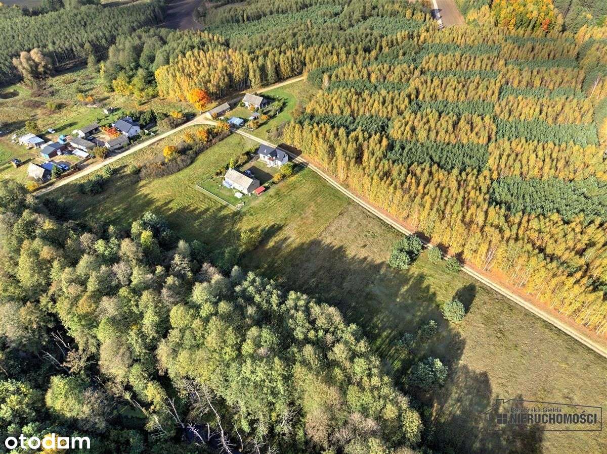 Działka pod lasem na raty - Piaseczno-9