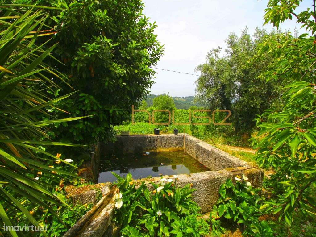 Quinta do séc. 18 - Amarante-25