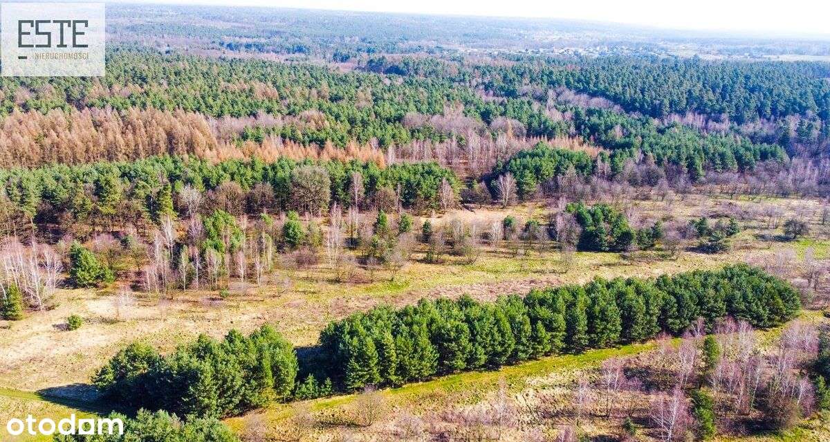 Czas na odpoczynek - Pełny obrazek: 5/8