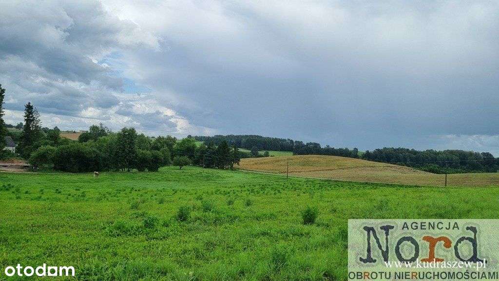 Działka w pobliżu jeziora Gaładuś - Pełny obrazek: 4/11