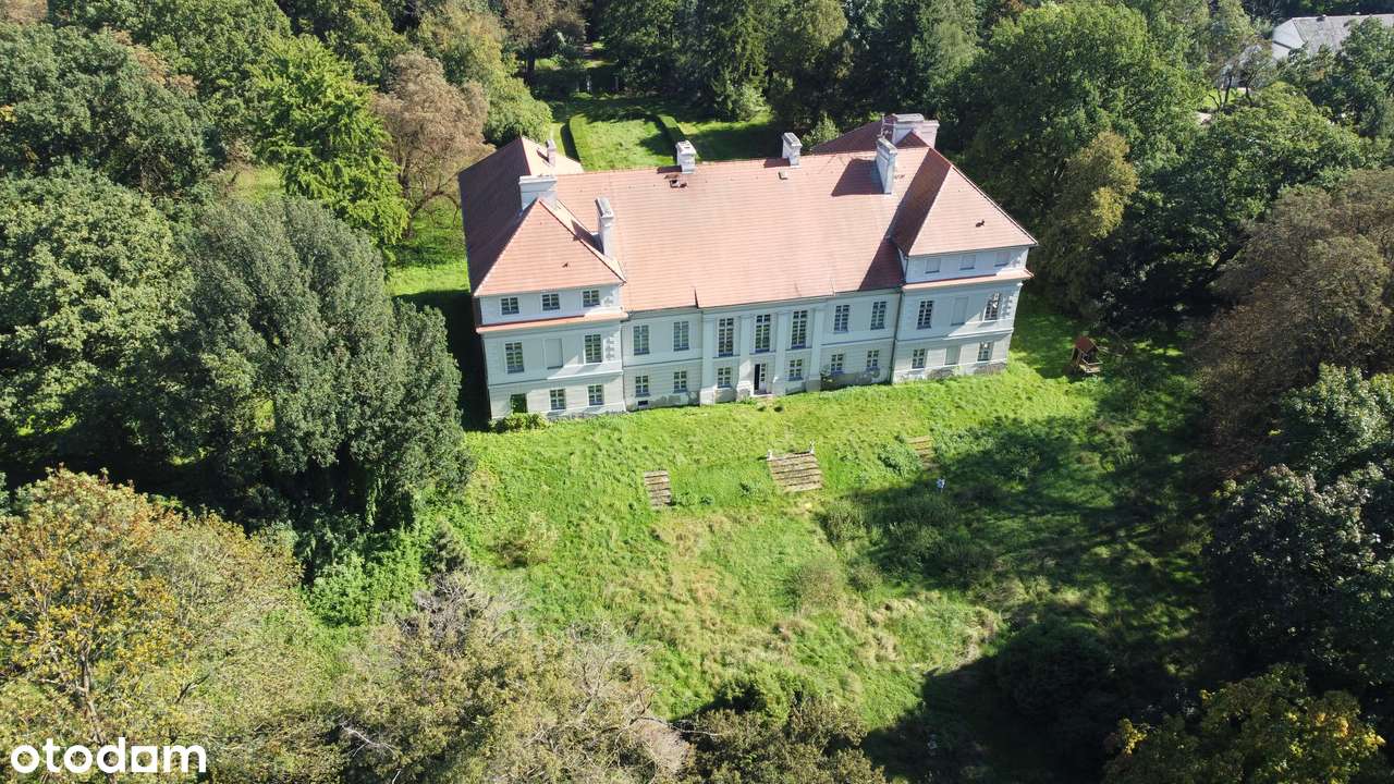 Pałac 1500 m2+park-6,36HA-3 stawy-29KMPoznań,Warszawa 280-szybkiDOJAZD - Pełny obrazek: 4/20