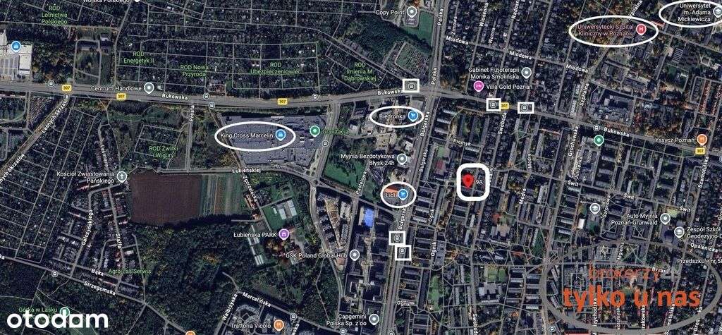 2 pokoje na zielonym Grunwaldzie - Płomienna 9A-10