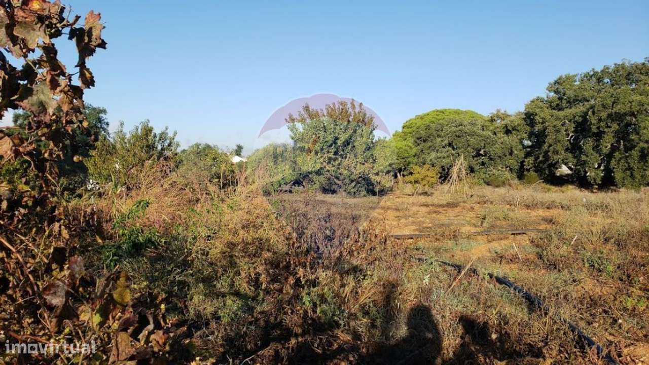 Terreno  para venda - Grande imagem: 2/7