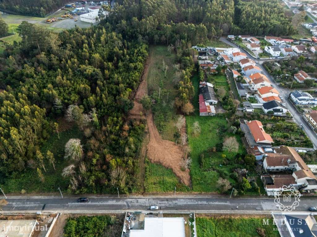 Terreno misto de 7000m2 a 10 minutos da praia - Grande imagem: 4/10