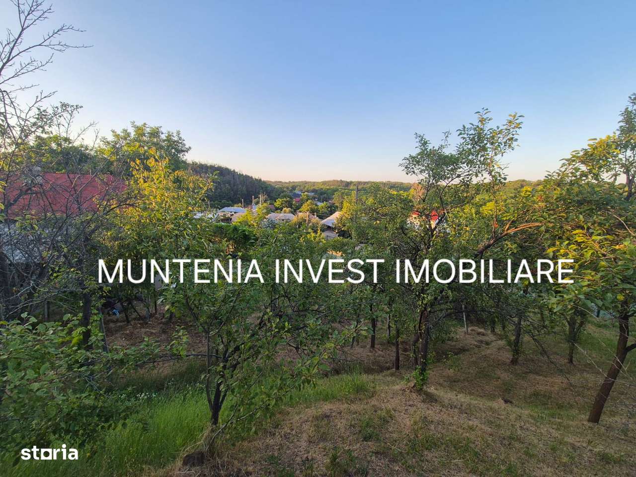 Teren 1400 mp. intravilan Albota - Imagine principală: 4/9