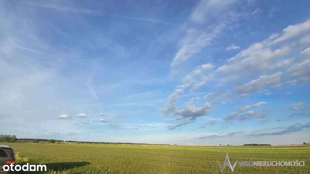 Działka | piękna okolica | Wzgórza Trzebnickie - Pełny obrazek: 5/9