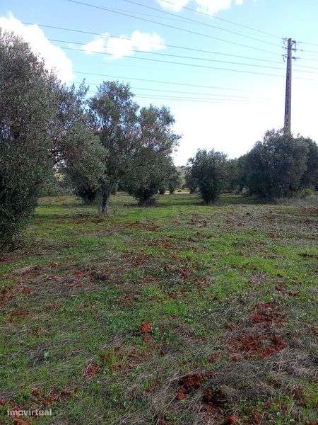 terreno para construçao em ALCANENA - Grande imagem: 4/9