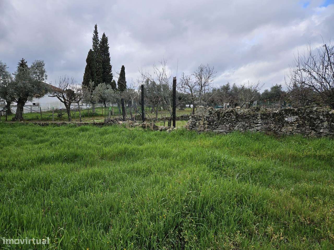Quintinha na Lousa, Castelo Branco - Grande imagem: 2/41