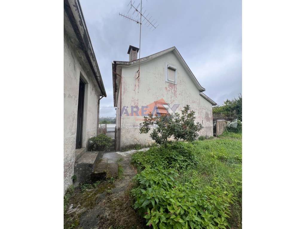 Oportunidade: 2 casas + artigo rústico com 2,0648 ha, perto de Oliv...-12