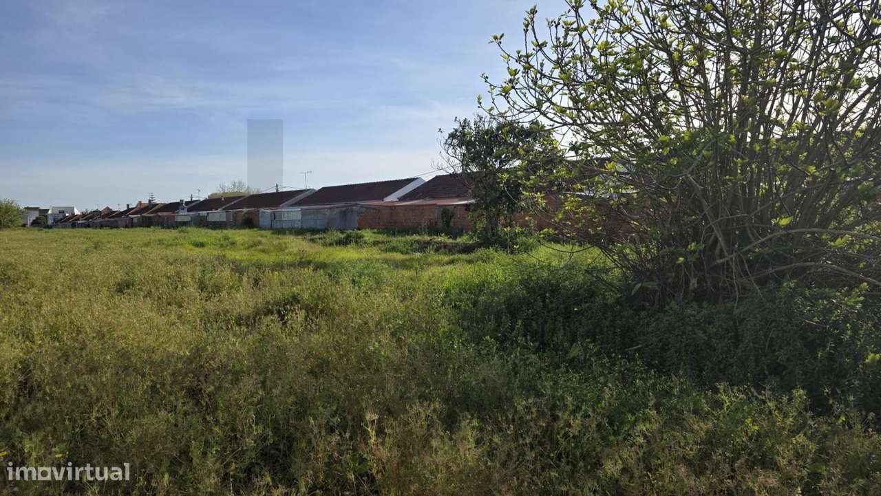 Aqui começa o que ainda não existe - Grande imagem: 5/6