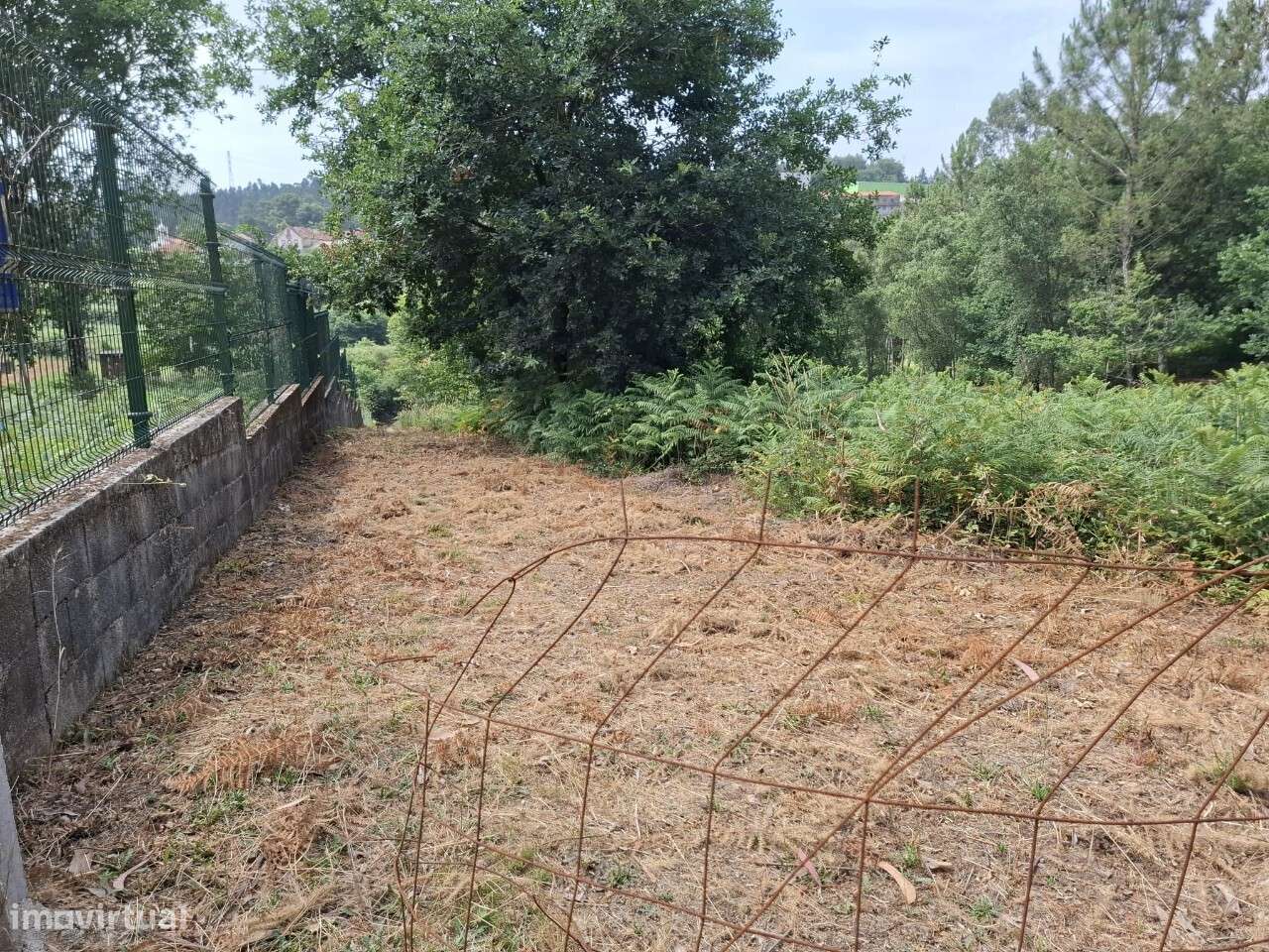 Terreno c/ projeto - Vale de Cambra-11