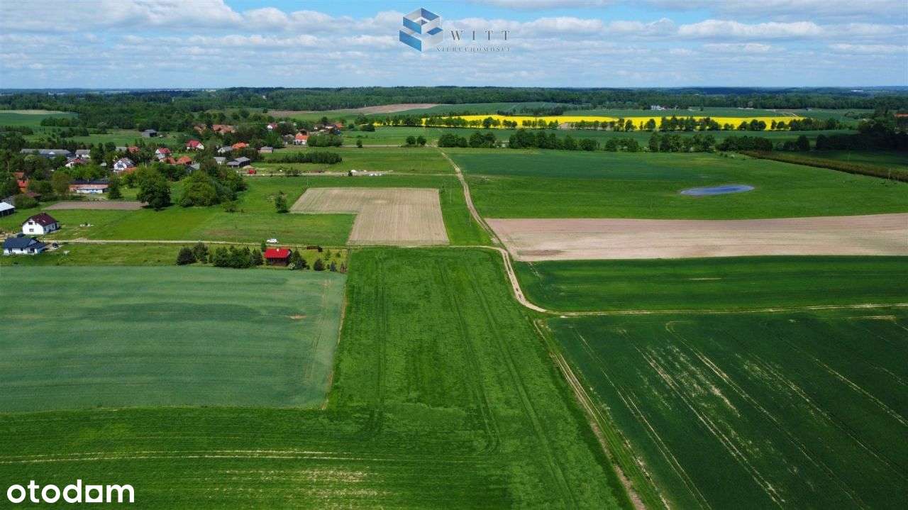 Uzbrojone działki z widokiem na jezioro. - Pełny obrazek: 4/14