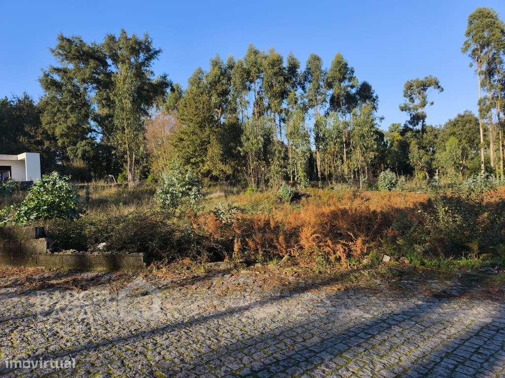 Excelente Oportunidade em Forjães - Esposende: Terreno de Construçã... - Grande imagem: 4/14