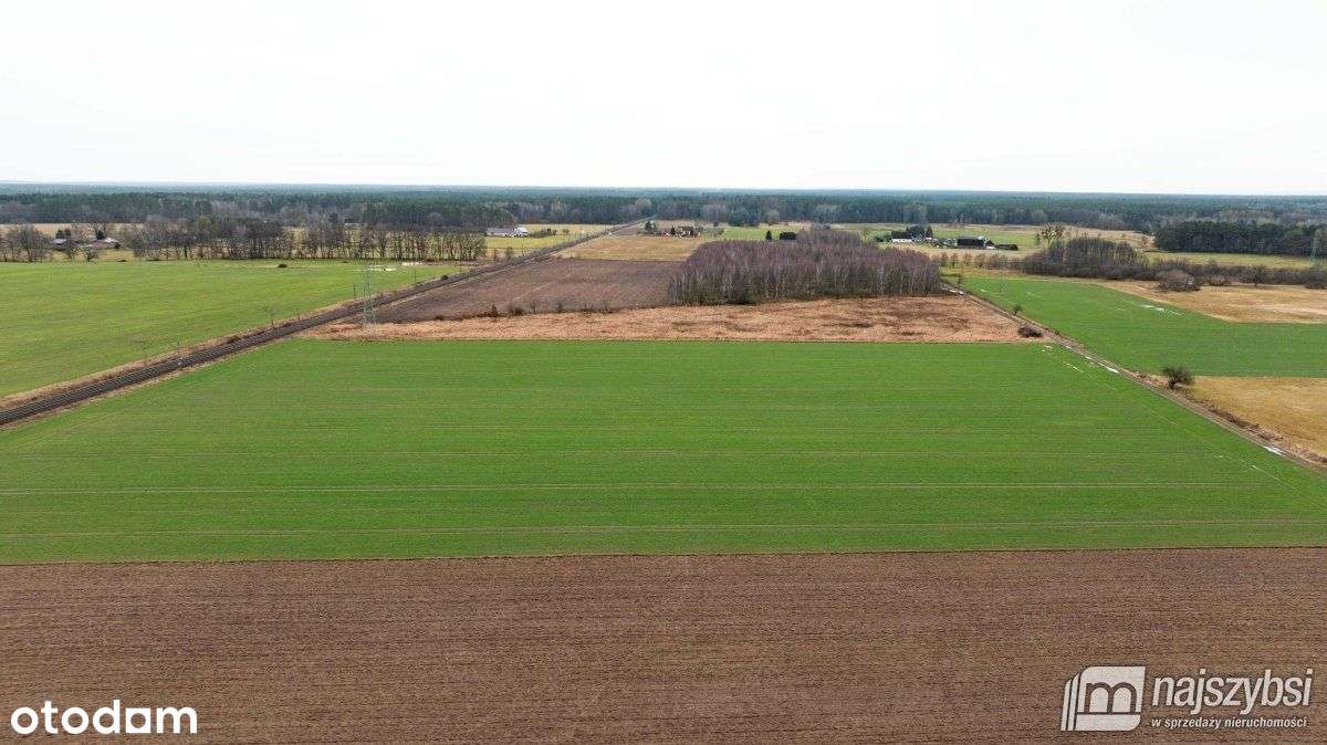 Dzisna - działka inwestycyjna - Pełny obrazek: 2/8