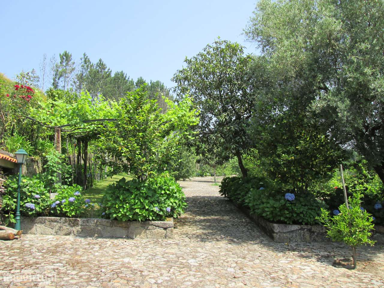 Quintinha no Minho Ponte de Lima * 10.000 m2 * a 90 Km do Porto-2