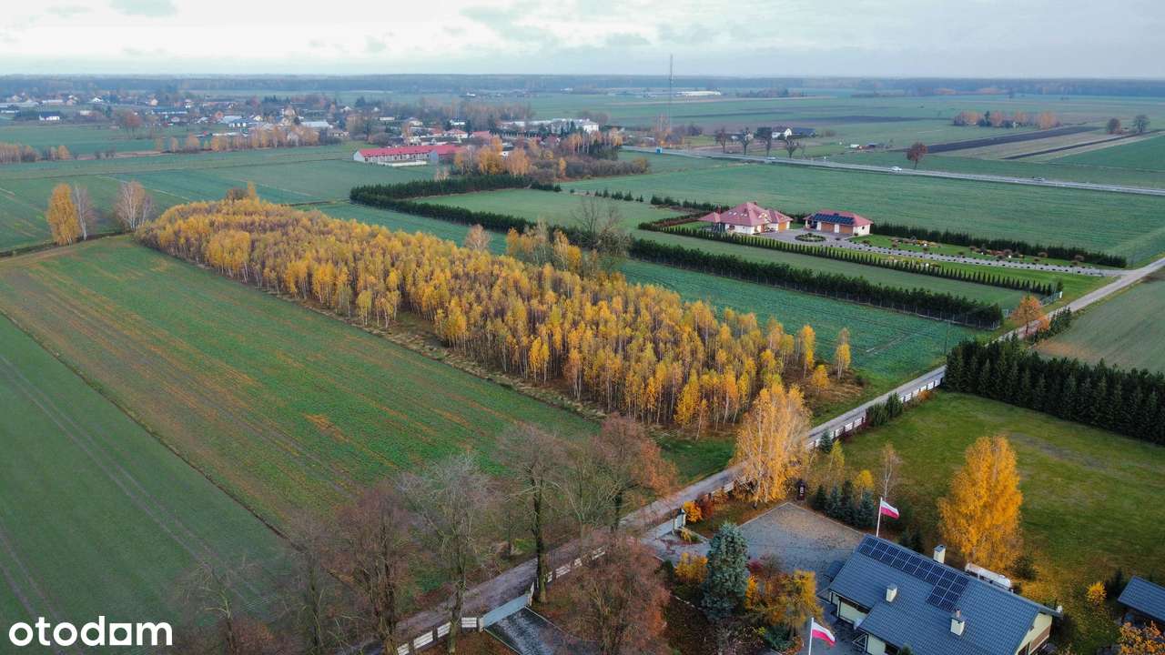 Działka z potencjałem inwestycyjnym - Żabce okolice Międzyrzeca Podl. - Pełny obrazek: 4/7
