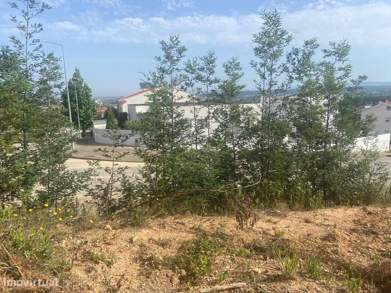 Lote de Terreno  Venda em Moita,Anadia-2