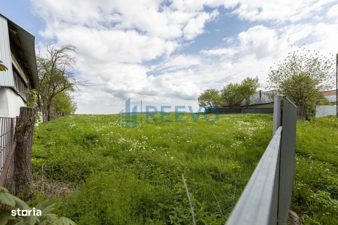 Teren intravilan Blăgești, Bacău - Imagine principală: 5/10