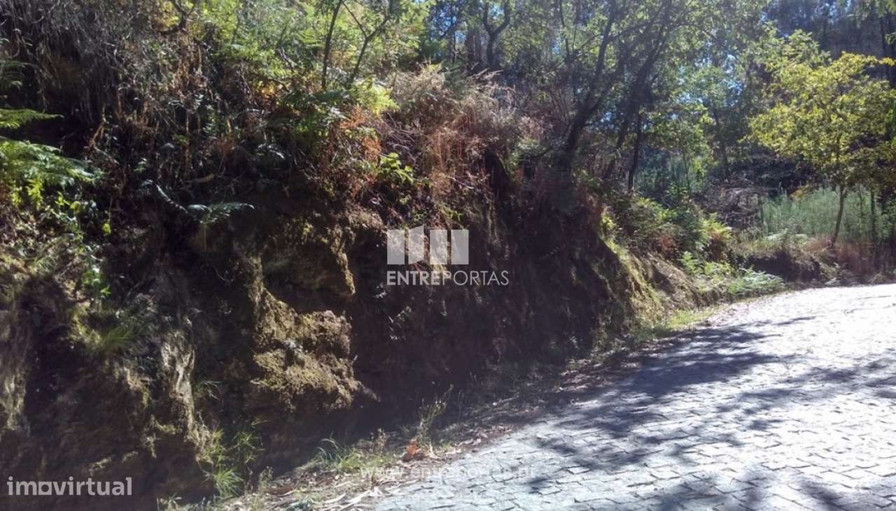 Venda Terreno, Soalhães, Marco de Canaveses - Grande imagem: 3/8