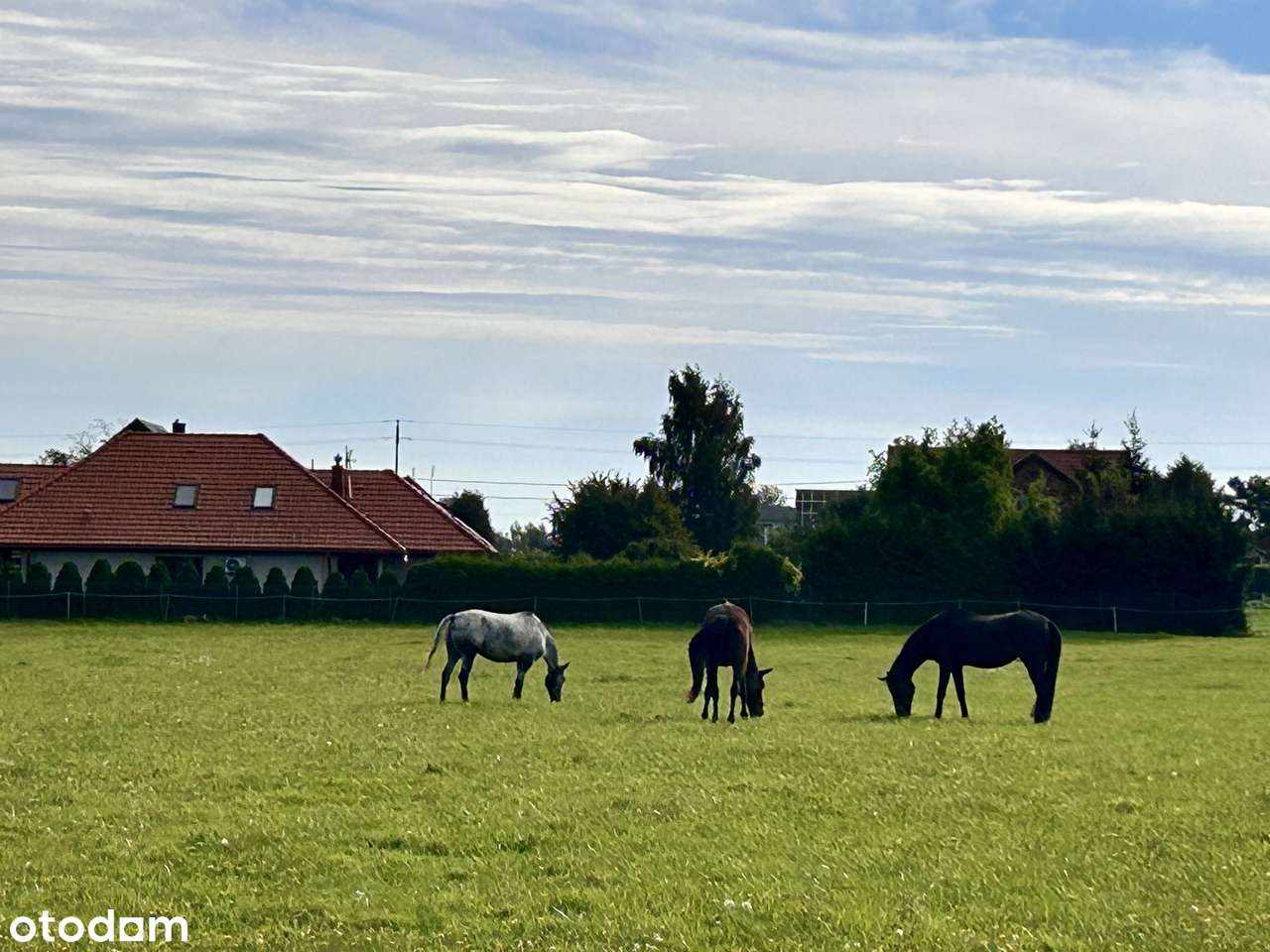 Dom z garażem, 4 sypialnie, pompa ciepła+kominek, strych-11