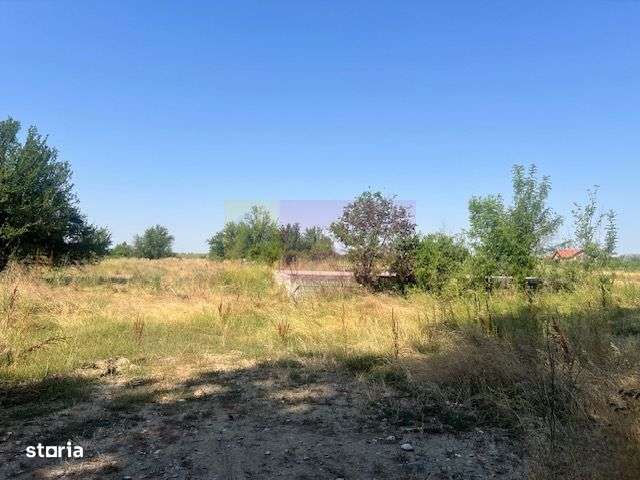 Teren Clinceni- Ordoreanu- langa Dig. - Imagine principală: 3/3