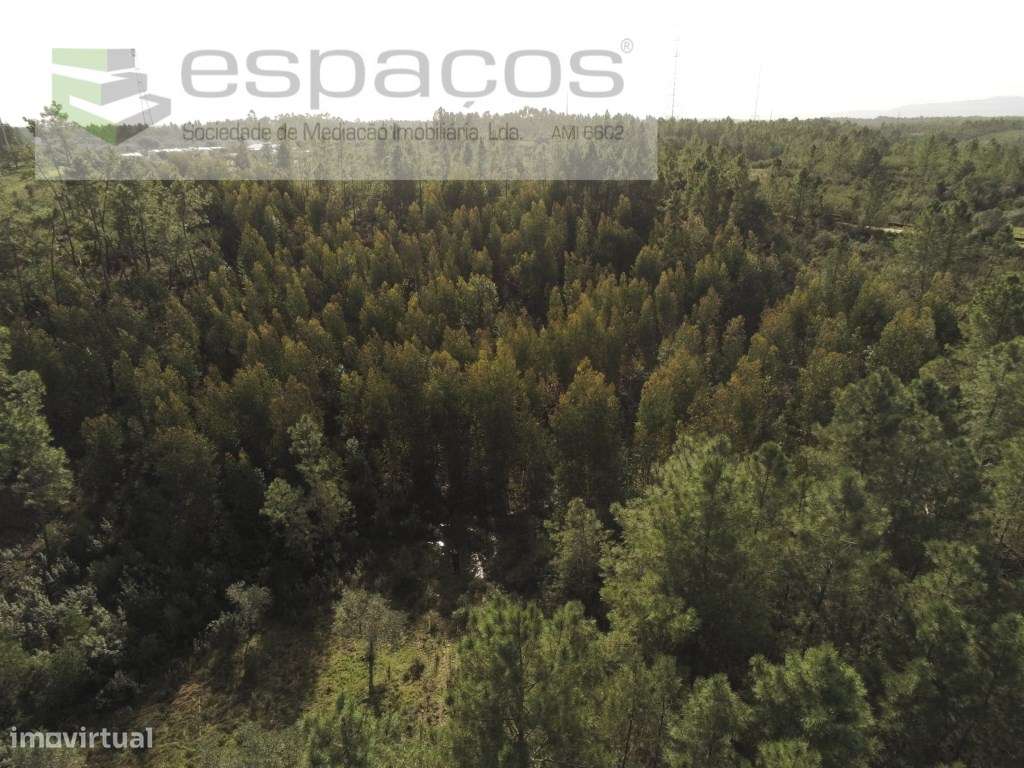 Terreno Rustico - Grande imagem: 4/14