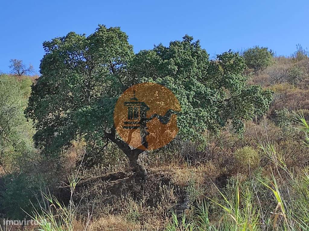 TERRENO COM 31.200 M2 - POSSIBILIDADE DE CONSTRUÇÃO DE ARMAZÉM - AP... - Grande imagem: 5/60