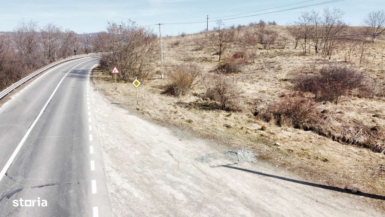 Teren 10000 mp Sanduleni-2