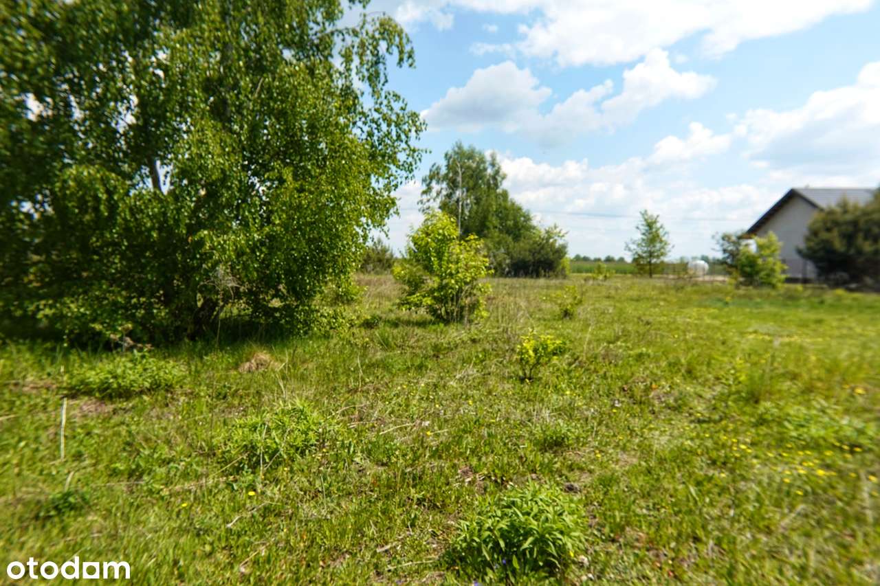 Działka dla miłośników natury-4