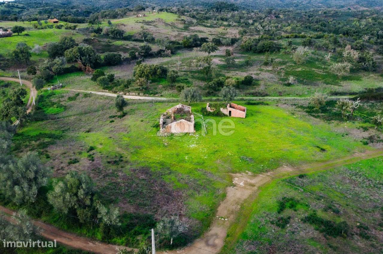 Terreno Misto 21HA - Grande imagem: 2/15