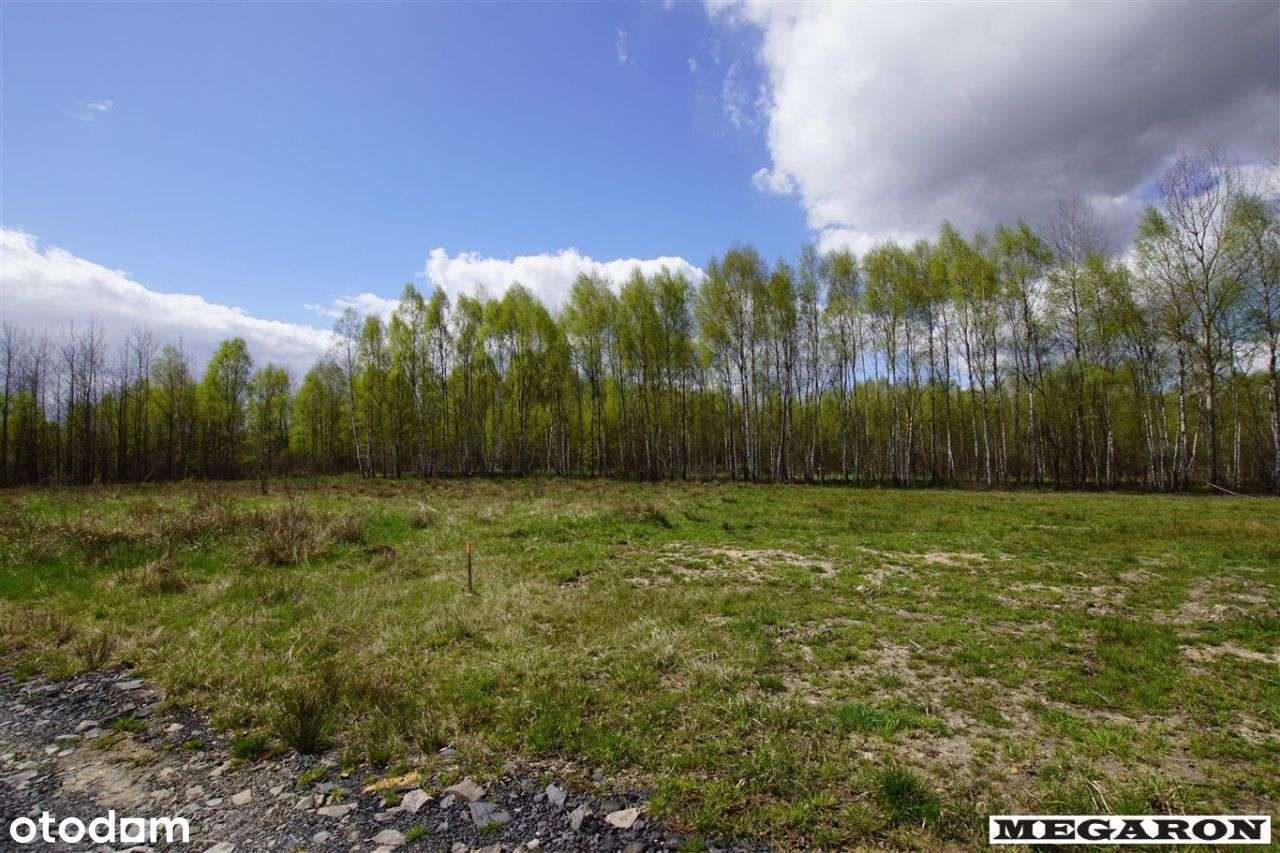Działka budowlana w Łyścu. - Pełny obrazek: 4/4