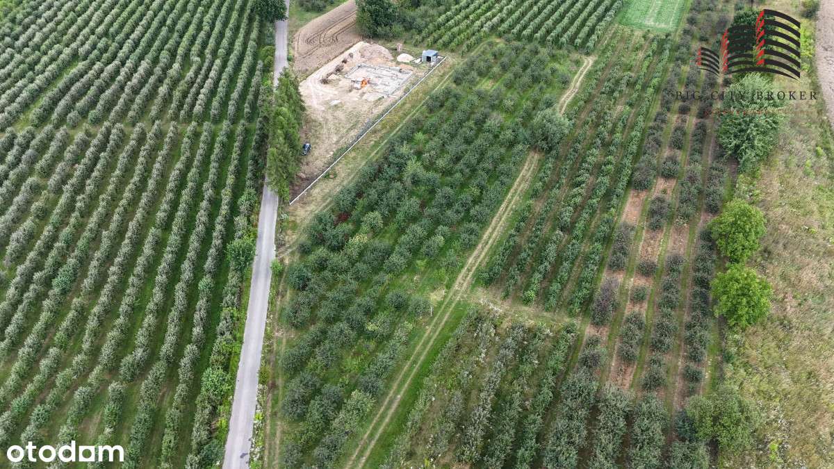 Działka budowlana Dębówka - 1km od Lublina - Pełny obrazek: 5/5