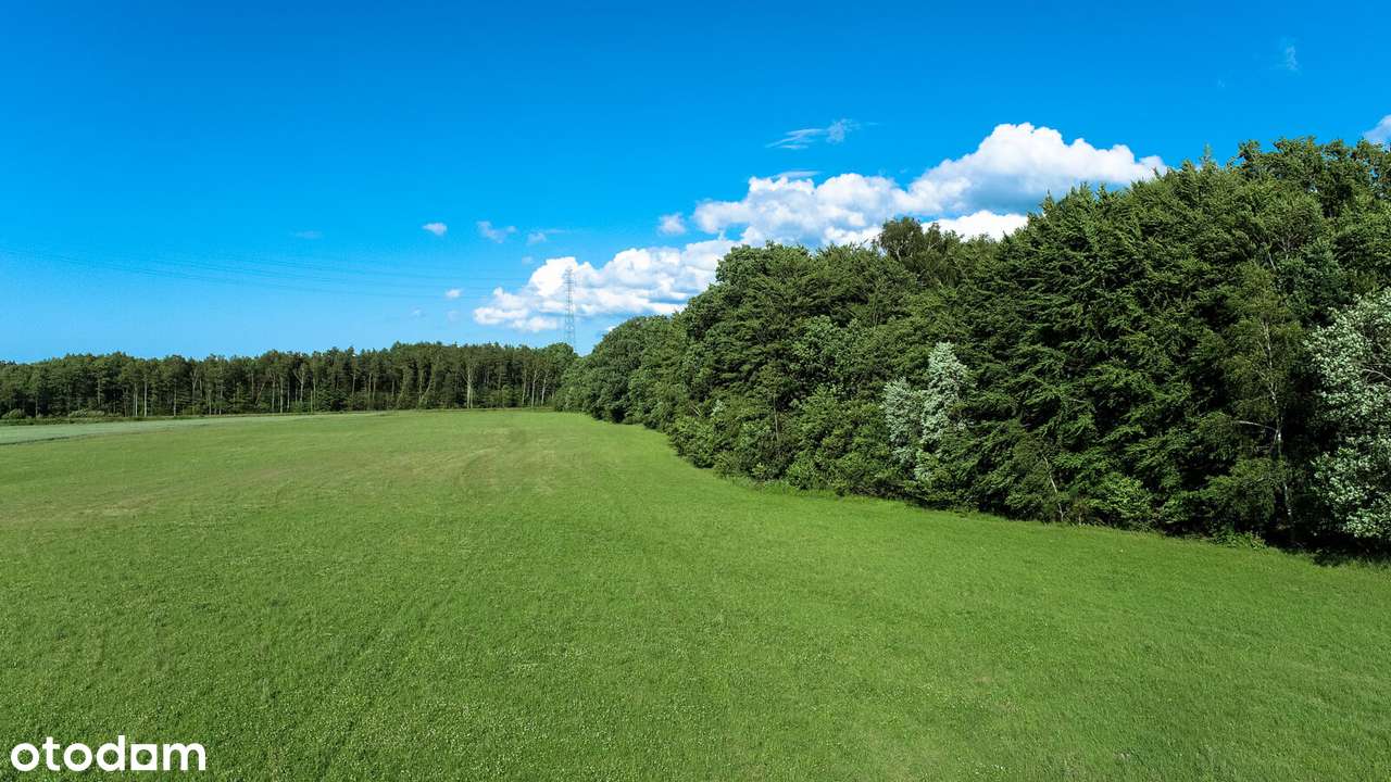 Działka przy lesie, możliwe raty 0%, sprawdzona pod nową ustawę - Pełny obrazek: 5/8