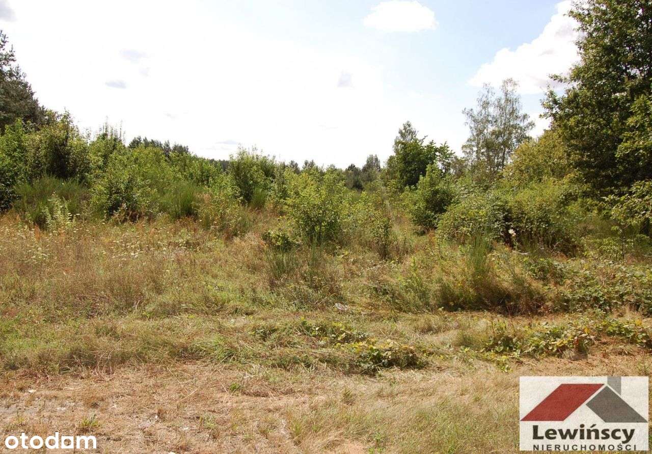 Piotrkowice - Gmina - Zabia Wola-5