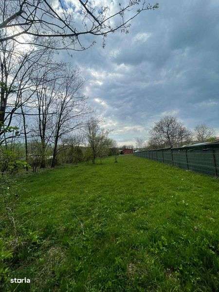 TEREN Varbilau Prahova - Imagine principală: 4/5