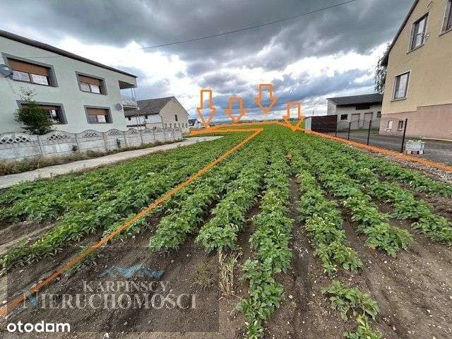 Działka budowlana Racibórz Sudół 875 m2. - Pełny obrazek: 4/5