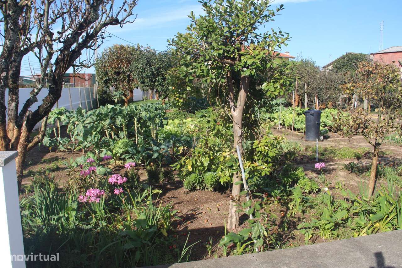 Moradia 4 Frentes lote com 980m2-13