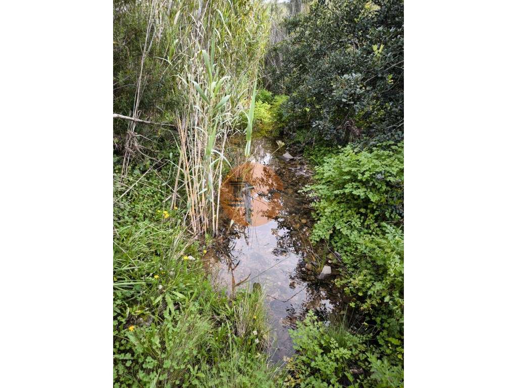 TERRENO COM 8.760 M2 - COM POÇO - EM PISA BARRO - CASTRO MARIM - AL... - Grande imagem: 3/29