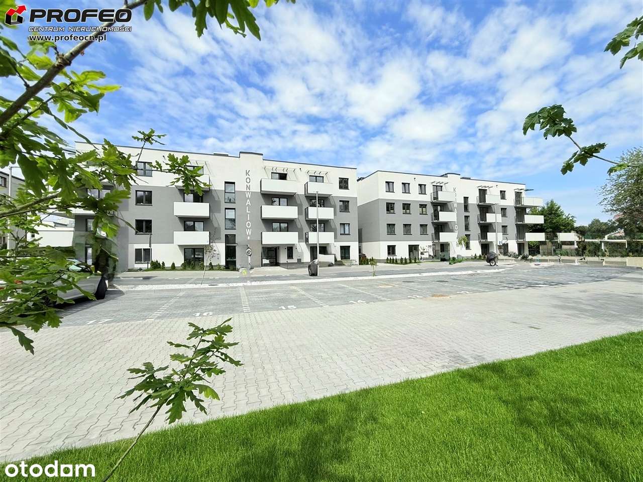 Mieszkanie na wynajem, Bielsko-Biała, 1 pokój - Pełny obrazek: 5/12