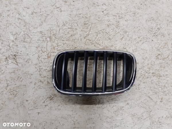 GRILL ATRAPA NERKA LEWA BWM X5 X6 E70 E71 51137171395 - 1