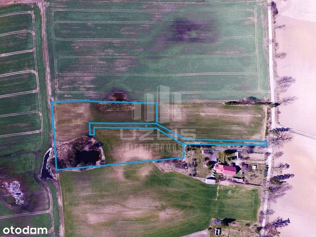 Działka ze stawem warunki zabud. 1,3 ha Szpęgawsk - Pełny obrazek: 5/5