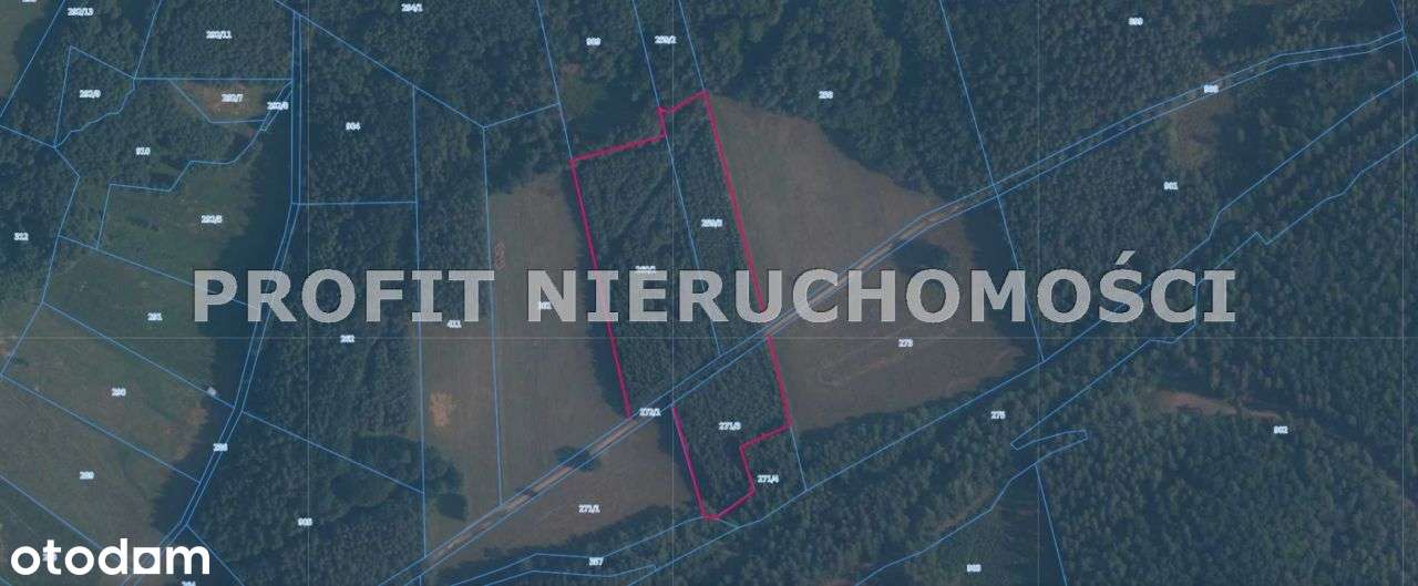 Działka w otulinie lasu opodal jeziora Lubowidz - Pełny obrazek: 4/8