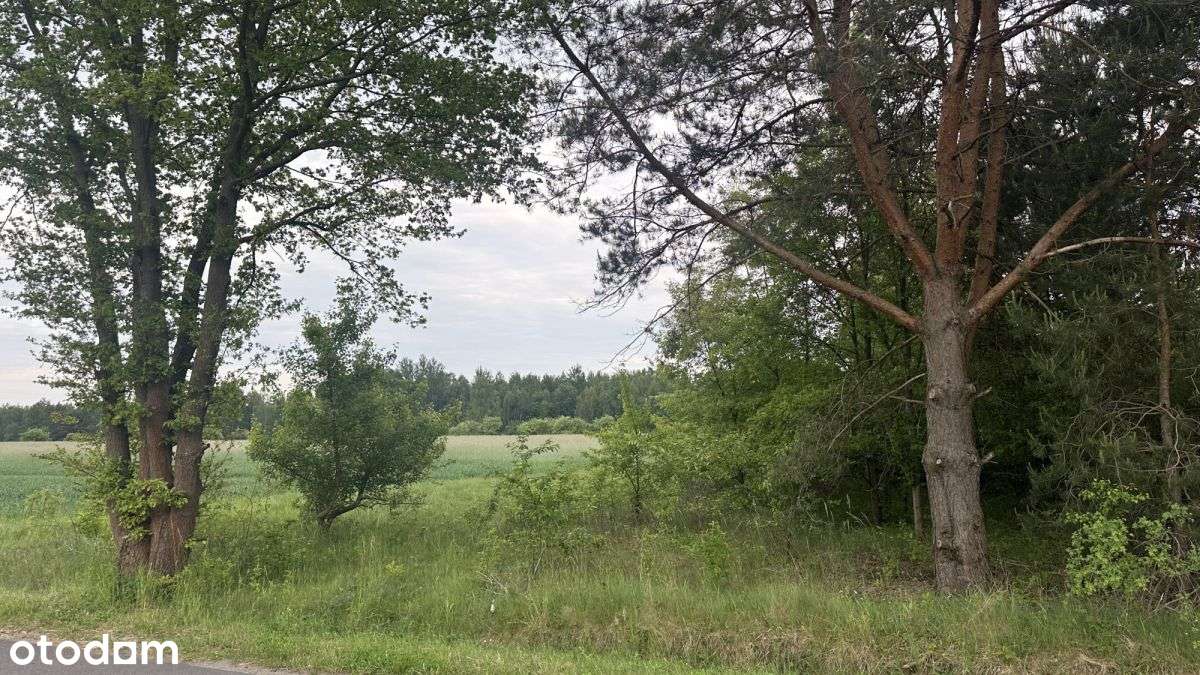 Działka w cichej i malowniczej okolicy-4