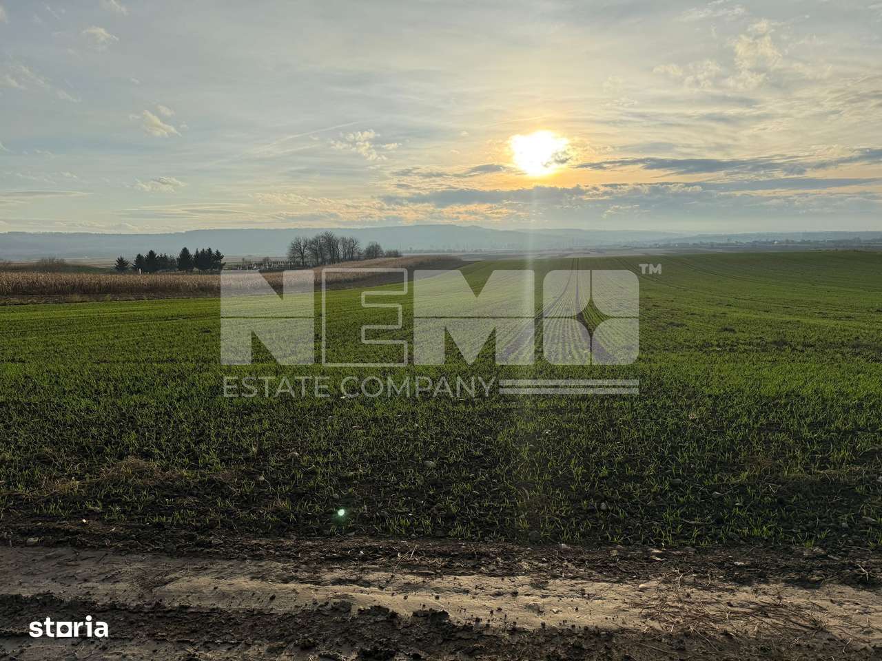 TEREN EXTRAVILAN | E85 | 126.000EURO NEGOCIABIL | - Imagine principală: 4/10