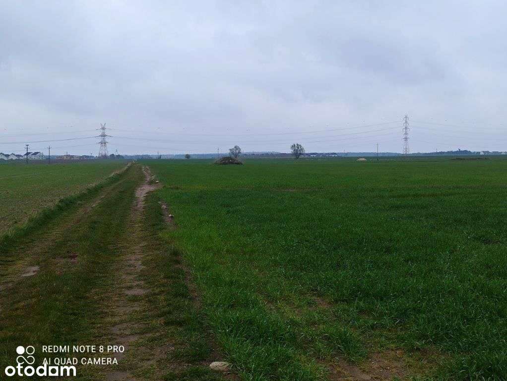 Działka Rolna 9900 M2-daszewice/mosina-1