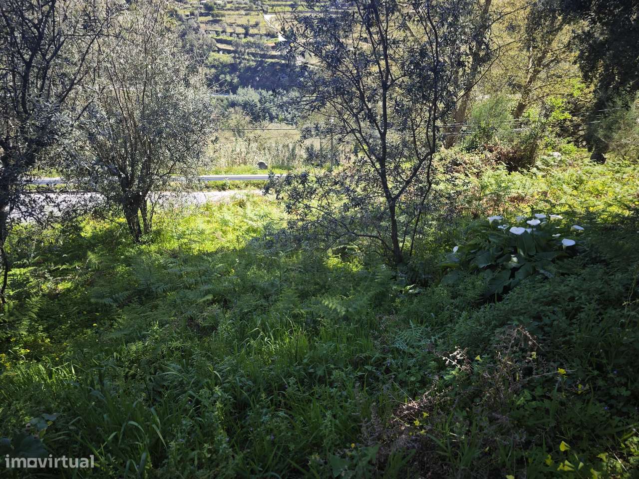 Moradia à Venda em Lamelas, Santa Marinha do Zêzere, Baião-16